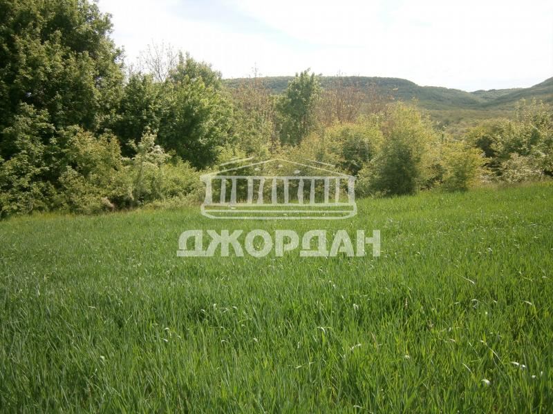 Plot of land for sale gr. Aksakovo - village. Dolishte 3000m² - 0