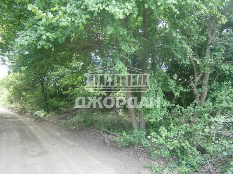 Plot of land for sale gr. Aksakovo - village. Dolishte 3000m² - 0