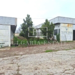 Производствена база в обл.Разград, общ.Лозница ,с.Ловско - 0