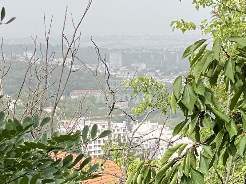 Къща в Зеленика, 693 кв парцел, 50 кв. къща озаконена - 0