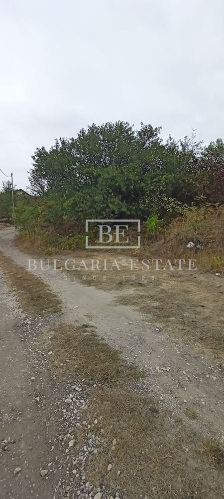 Property with excellent access and infrastructure in Mentesheto-0 area Property with excellent access and infrastructure in Mentesheto - 0