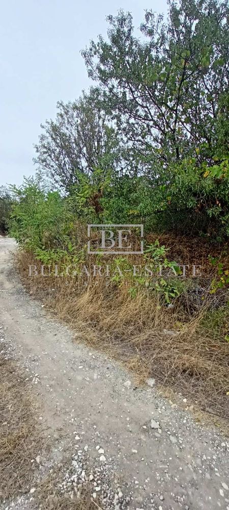 Property with excellent access and infrastructure in Mentesheto-0 area Property with excellent access and infrastructure in Mentesheto - 0