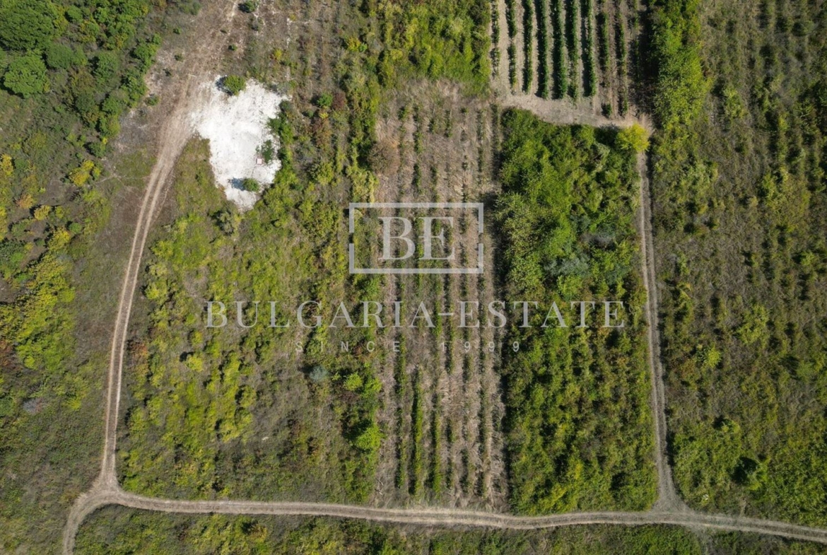 Просторен парцел за жилищно строителство в гр. Бяла – 2475 кв.м, само на 250 м от морския бряг - 0